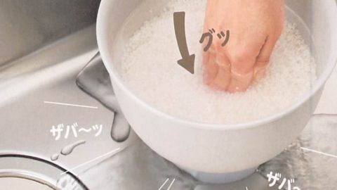 20260216【青芳】お米関連がまだまだ大人気！新アイテムも出てるよ