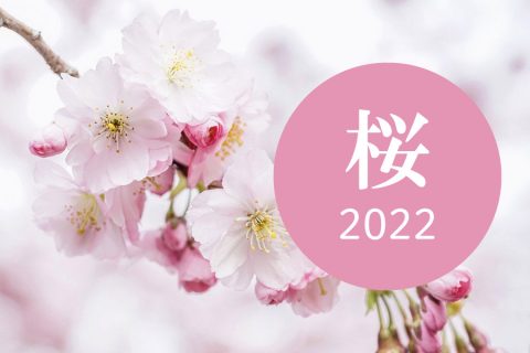 【まとめ：桜2022】締切終了品もあり！売り場に季節感を出していく！