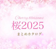 【まとめカタログ：桜2025】春の風を感じる、心ときめく桜のアイテムが売場に季節感をもたらしてくれます！