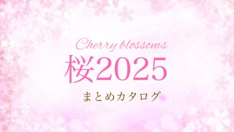 【まとめカタログ：桜2025】春の風を感じる、心ときめく桜のアイテムが売場に季節感をもたらしてくれます！