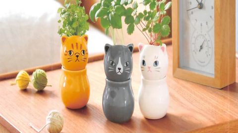 20241211【聖新陶芸】ねこ！CAT！猫！ネコ！づくしで売り場を埋めちゃおう