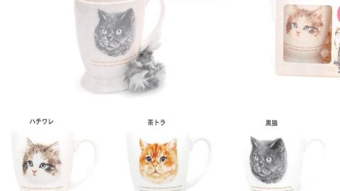 20250520【コージカンパニー】パッケージも可愛いのでギフトにぴったりね。な、マグカップ