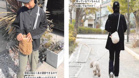 20250610【ニコット】人気の犬種ランキングのトップは15年連続でトイプードル