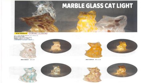 20250804【キーストーン】猫もとうとう光るようになりました！