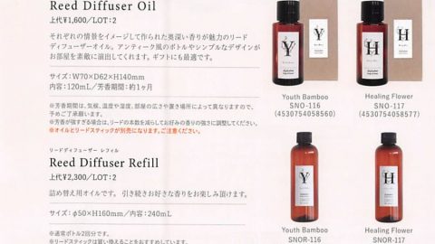 20251127【アートラボ】アルファベットシリーズに新作が登場です