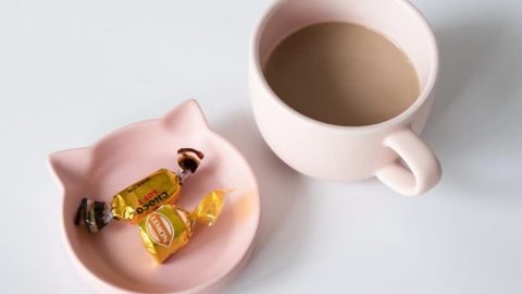 20251204【デザインワークス】ねこ支援プロジェクトの第二弾