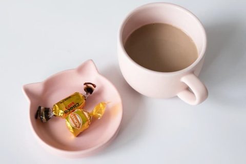 20251204【デザインワークス】ねこ支援プロジェクトの第二弾