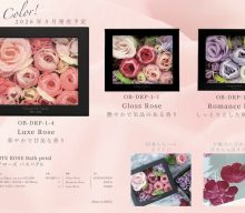 20260330【ノル】永遠に展開され続けるローズバスペタルのシリーズ