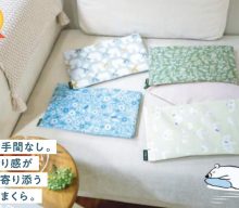 20260429【ケイテイ】毎年恒例の塩まくらを今年もお忘れなく