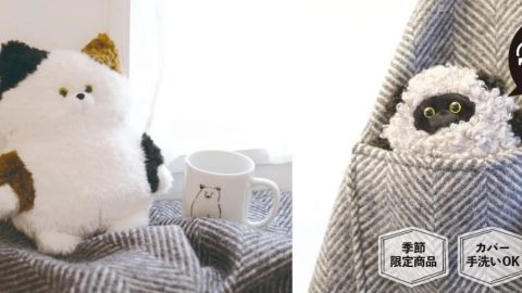 20260527【キシマ】昨年もけっこう売れた商品を今年は猫のデザインで当てにきています