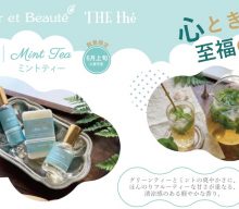 20260601【イーエフインターナショナル】人気のTEAシリーズにミントティーが登場です
