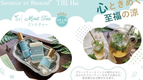 20260601【イーエフインターナショナル】人気のTEAシリーズにミントティーが登場です