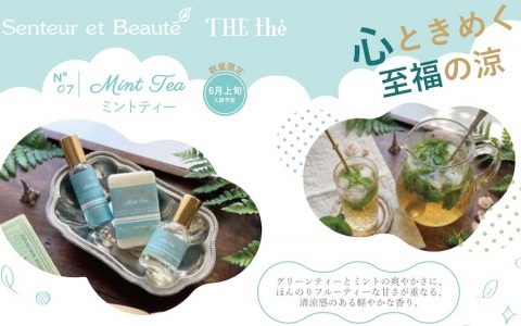 20260601【イーエフインターナショナル】人気のTEAシリーズにミントティーが登場です